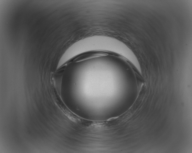 X0000082930280200702152155