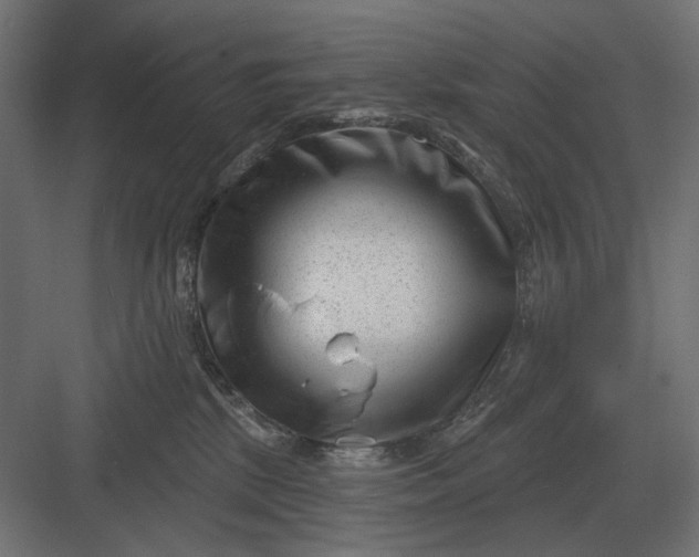 X0000082930281200702152155