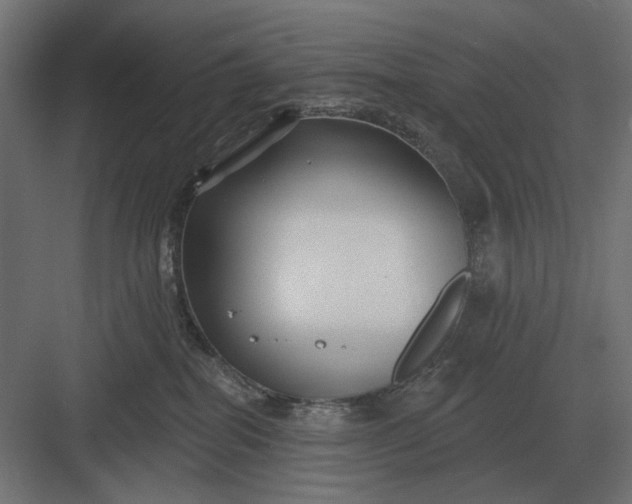 X0000082930282200702152155