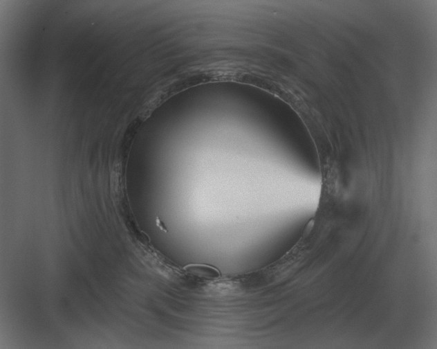 X0000082930283200702152155