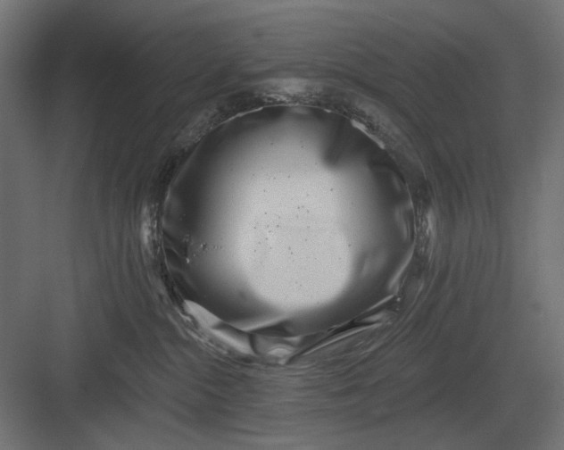 X0000082930284200702152155