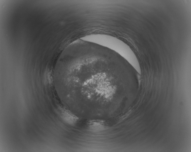 X0000082930285200702152155