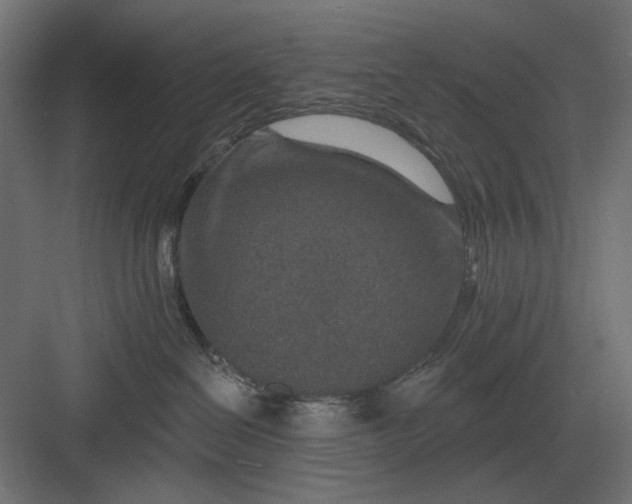 X0000082930286200702152155