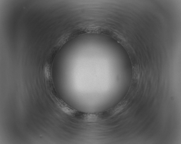 X0000082930287200702152155