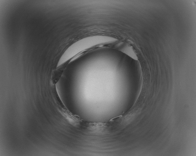 X0000082930288200702152155