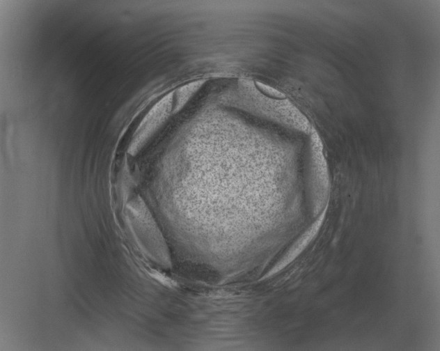 X0000082930290200702152154