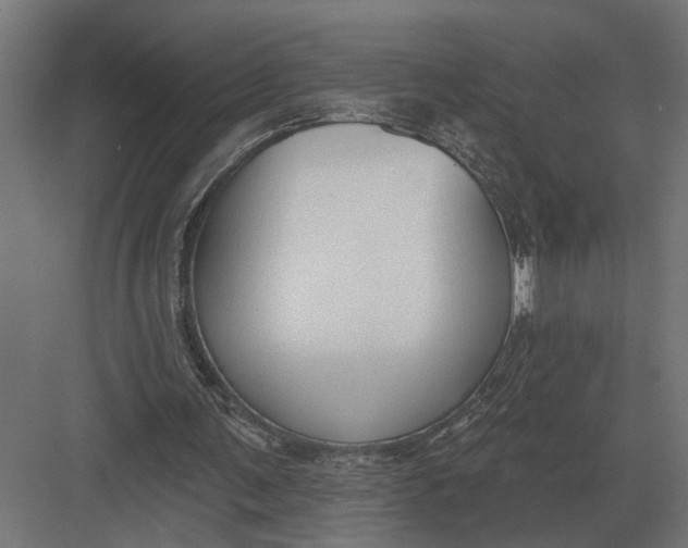 X0000082930291200702152154