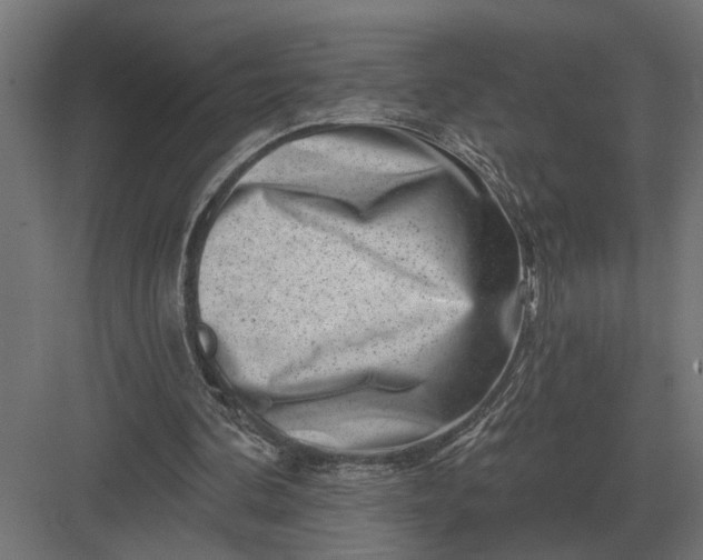 X0000082930292200702152154