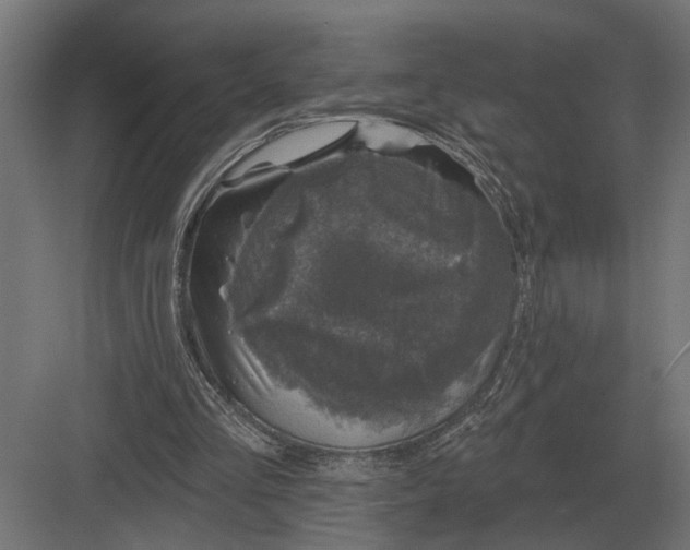 X0000082930293200702152154