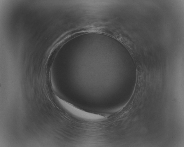 X0000082930295200702152154