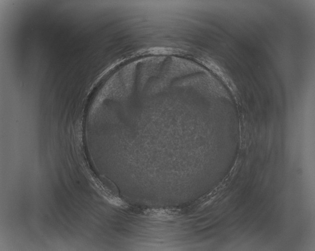 X0000082930297200702152154