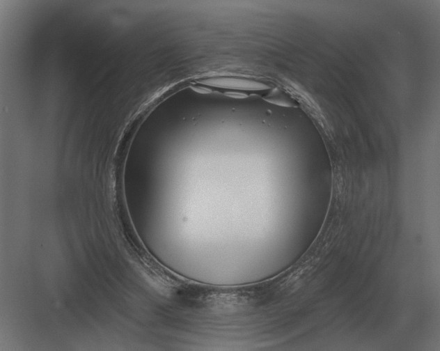 X0000082930298200702152154