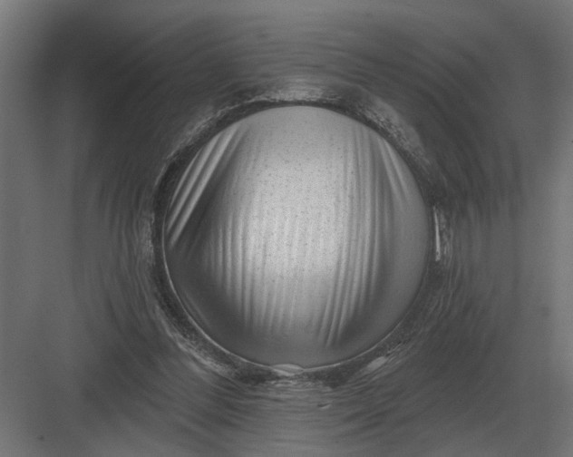 X0000082930300200702152154