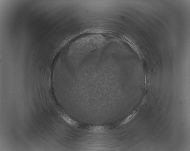 X0000082930301200702152154