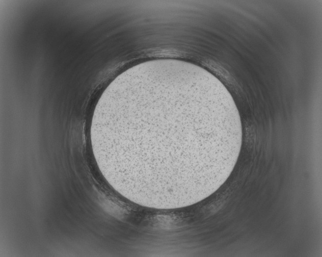 X0000082930302200702152154