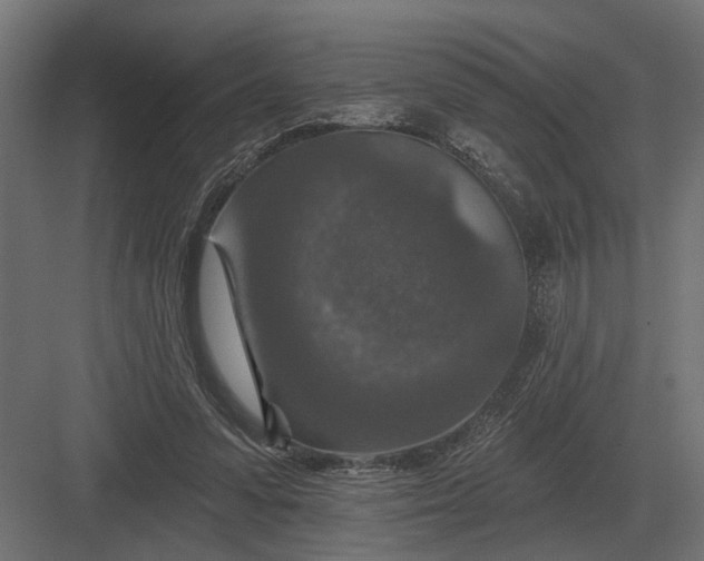 X0000082930303200702152154