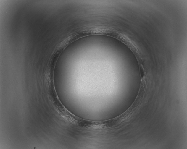 X0000082930306200702152154