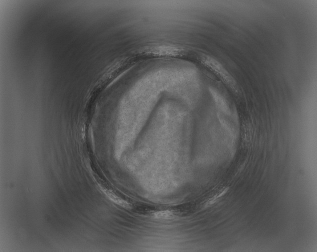 X0000082930309200702152154