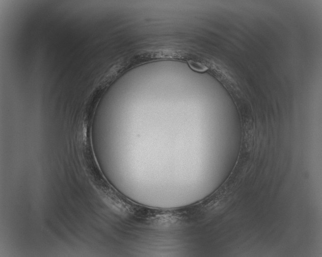 X0000082930310200702152154