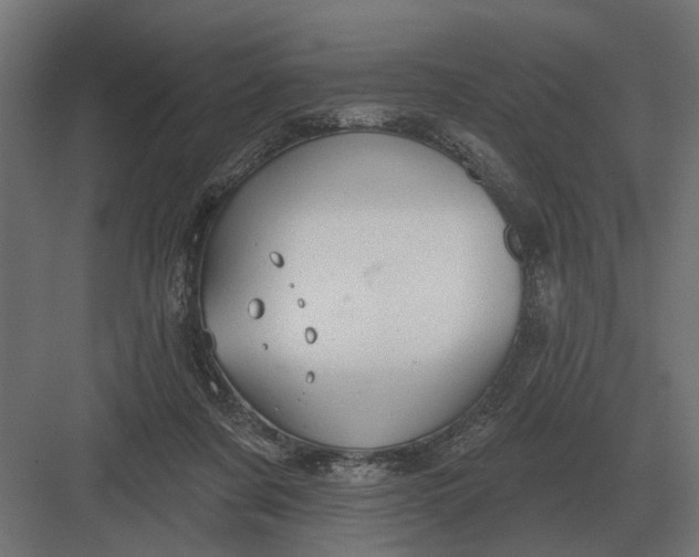 X0000082930311200702152154