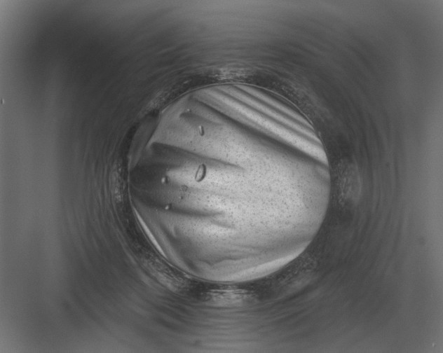 X0000082930316200702152154