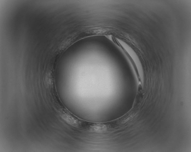 X0000082930317200702152154