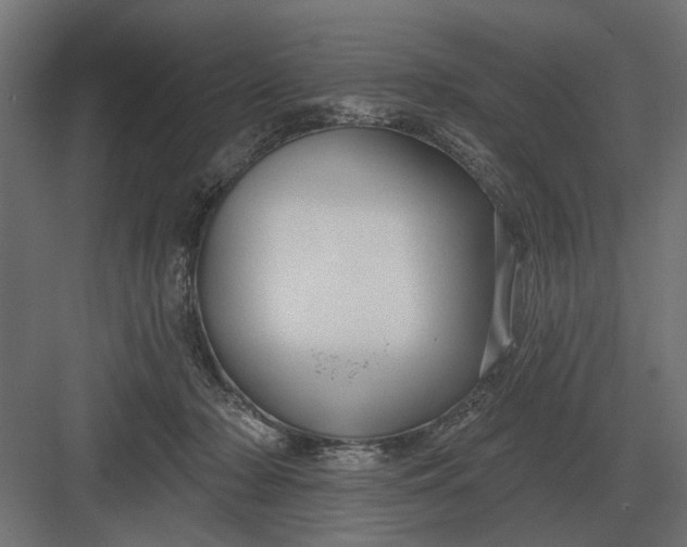 X0000082930318200702152154