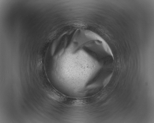 X0000082930320200702152154