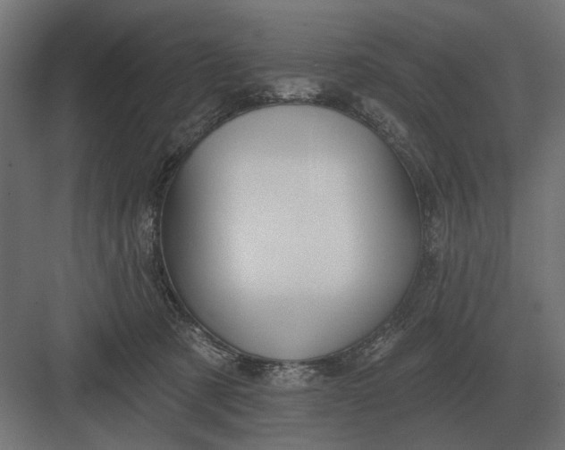 X0000082930321200702152154