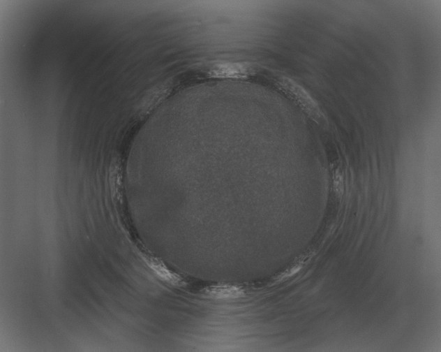 X0000082930322200702152154