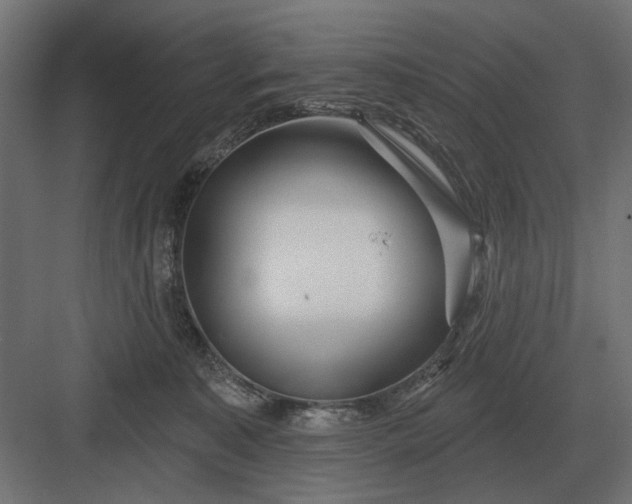 X0000082930323200702152154