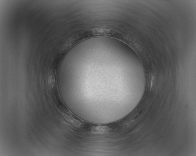 X0000082930324200702152154