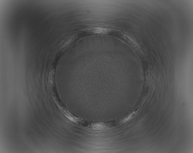 X0000082930325200702152154