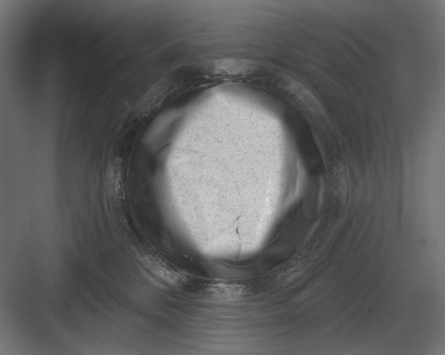 X0000082930328200702152154