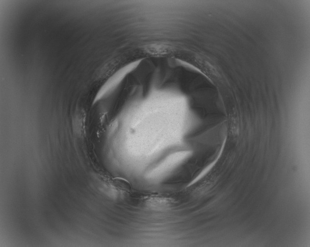 X0000082930332200702152154