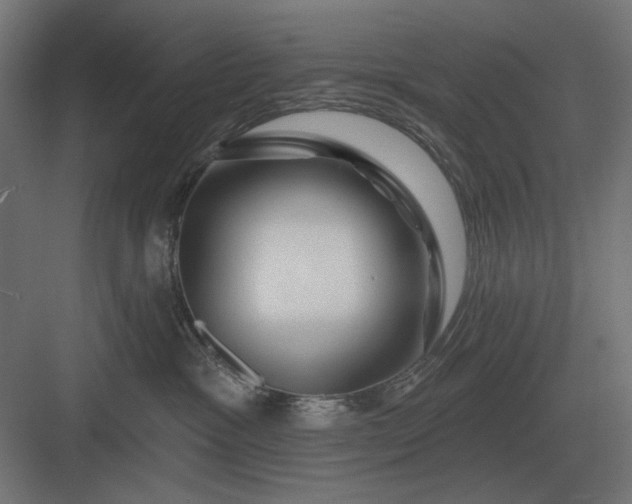 X0000082930333200702152154