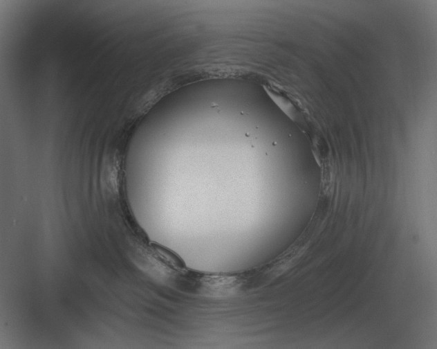 X0000082930334200702152154