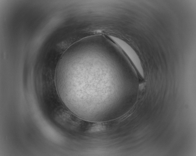 X0000082930335200702152154