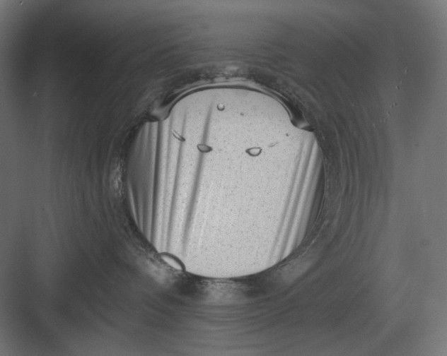 X0000082930336200702152154