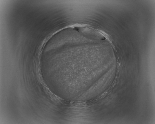 X0000082930337200702152153