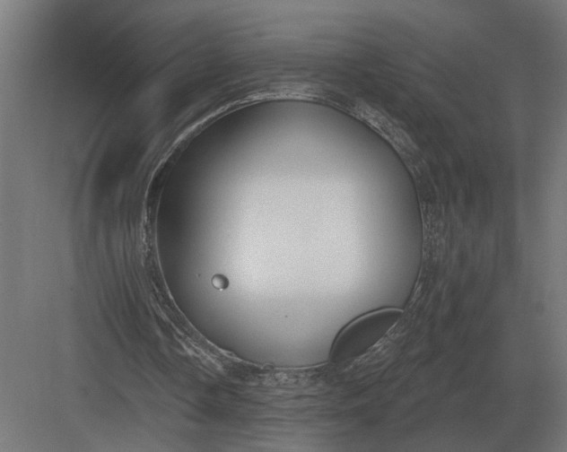 X0000082930338200702152153