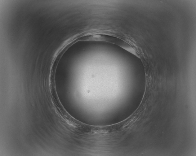 X0000082930340200702152153