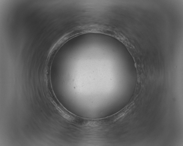 X0000082930341200702152153