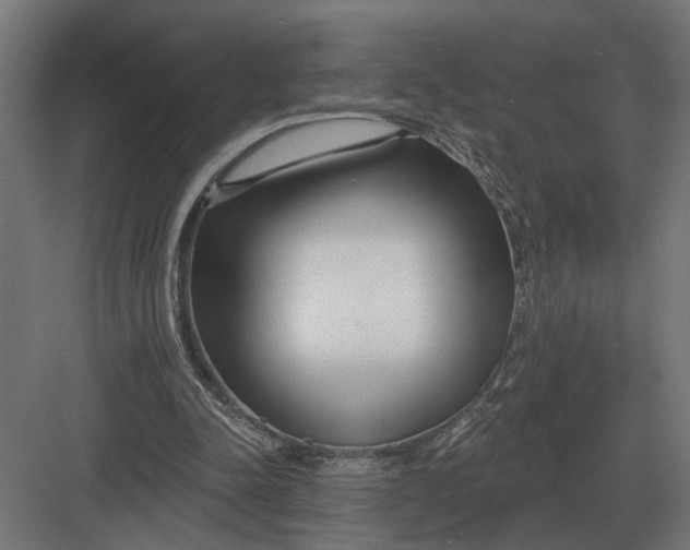 X0000082930342200702152153