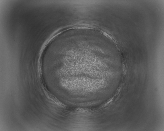 X0000082930343200702152153