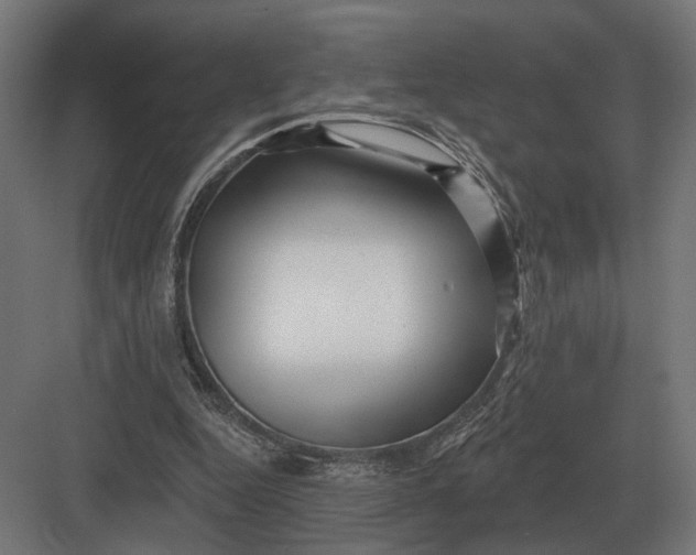 X0000082930344200702152153