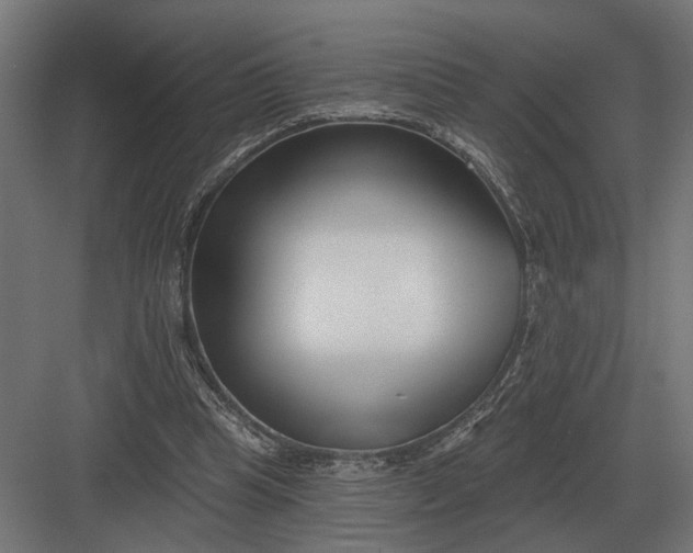 X0000082930345200702152153