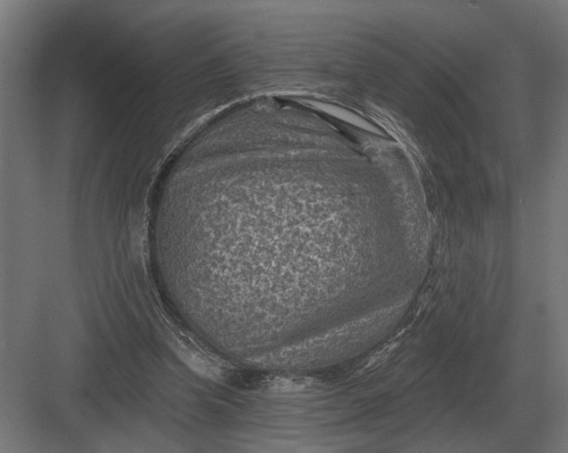 X0000082930346200702152153