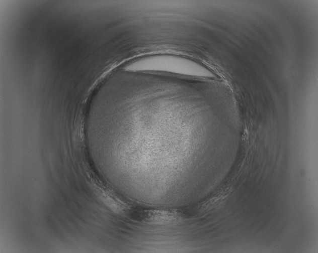 X0000082930347200702152153