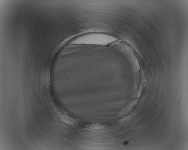 X0000082930348200702152153